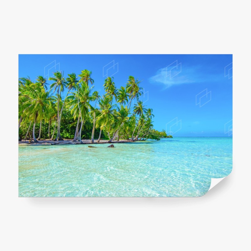 Carta da parati paesaggio tropicale con palme e mare turchese