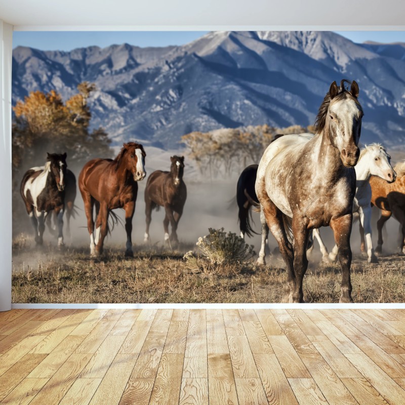 Carta da parati mandria in corsa sulle praterie di Zapata Ranch, Colorado
