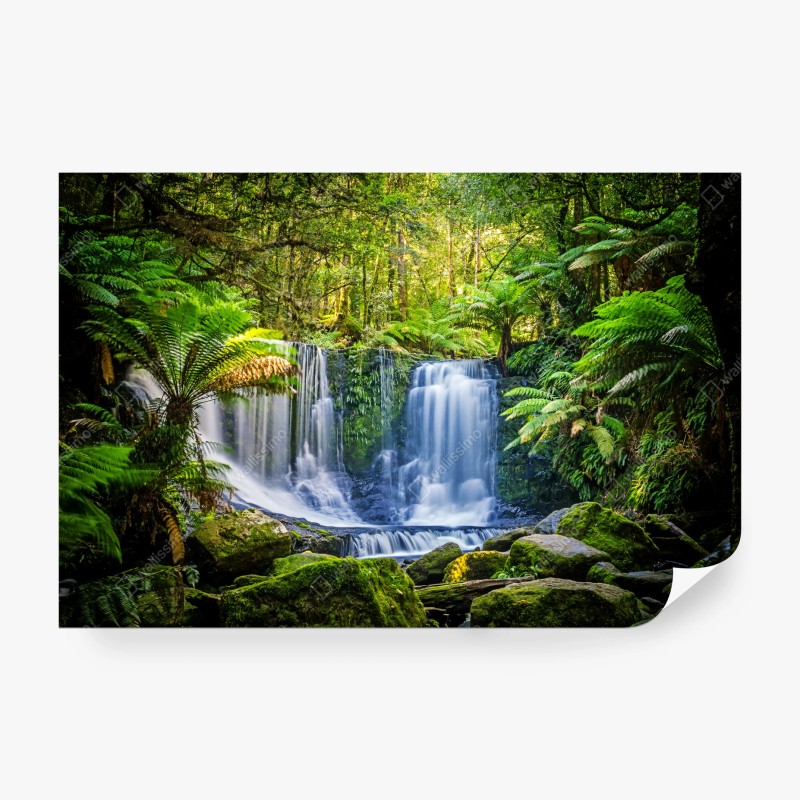 Carta da parati oasi verde a Horseshoe Falls, Mt Field, Tasmania