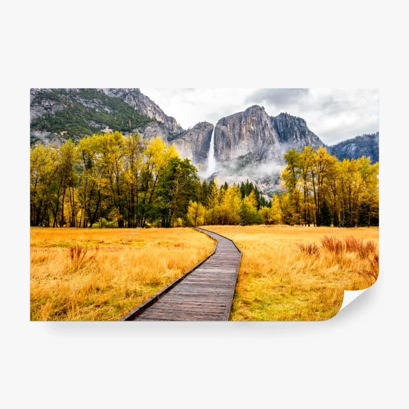Carta da parati • Wallissimo®