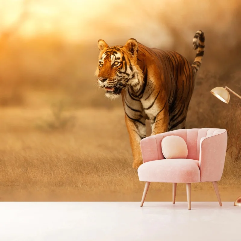 Carta da parati tigre maestosa al tramonto • Wallissimo® Carta da parati tigre maestosa al tramonto • Wallissimo®