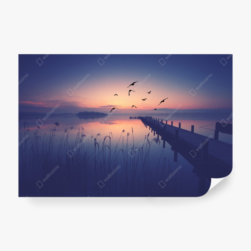 Carta da parati molo al tramonto