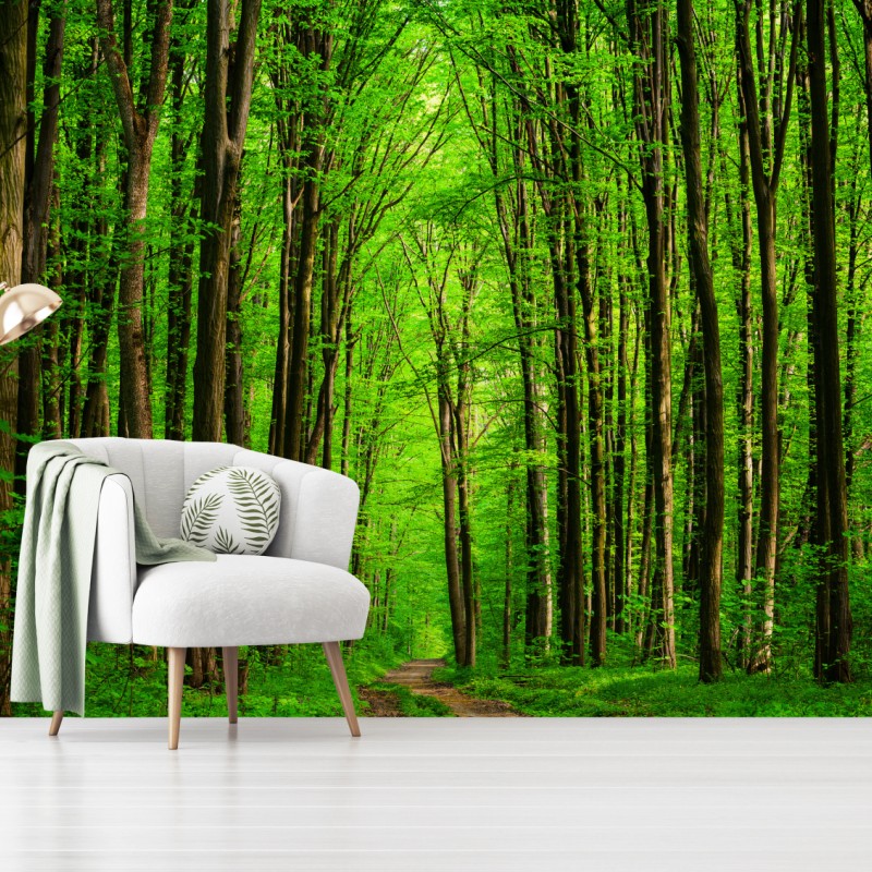 Carta da parati sentiero nella foresta verde