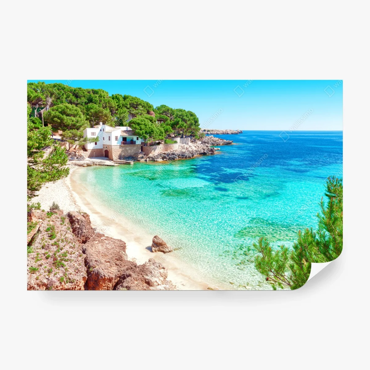 Carta da parati baia turchese e pineta mediterranea • Wallissimo®