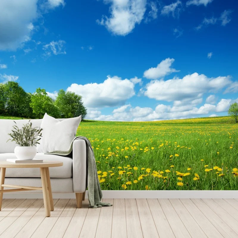 Carta da parati campo fiorito sotto il cielo blu