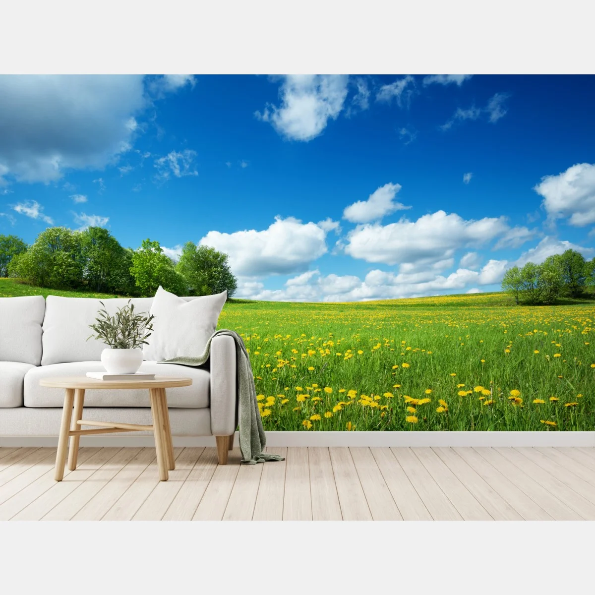 Carta da parati campo fiorito sotto il cielo blu • Wallissimo® Carta da parati campo fiorito sotto il cielo blu • Wallissimo®