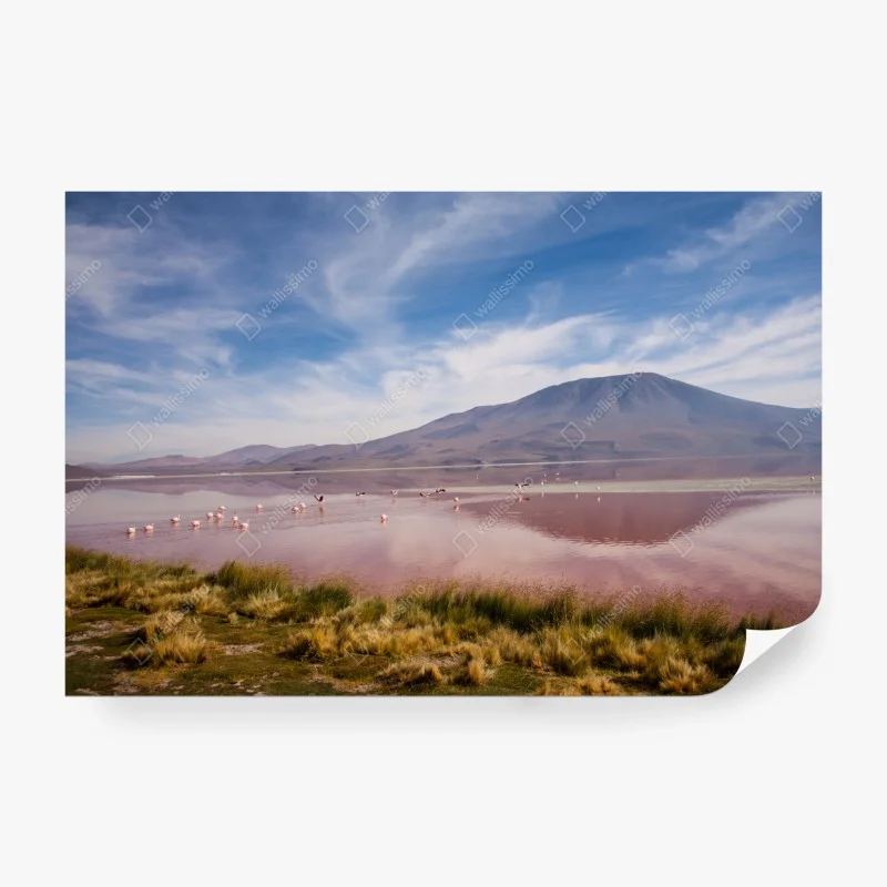 Carta da parati riflessi rosa sulla laguna