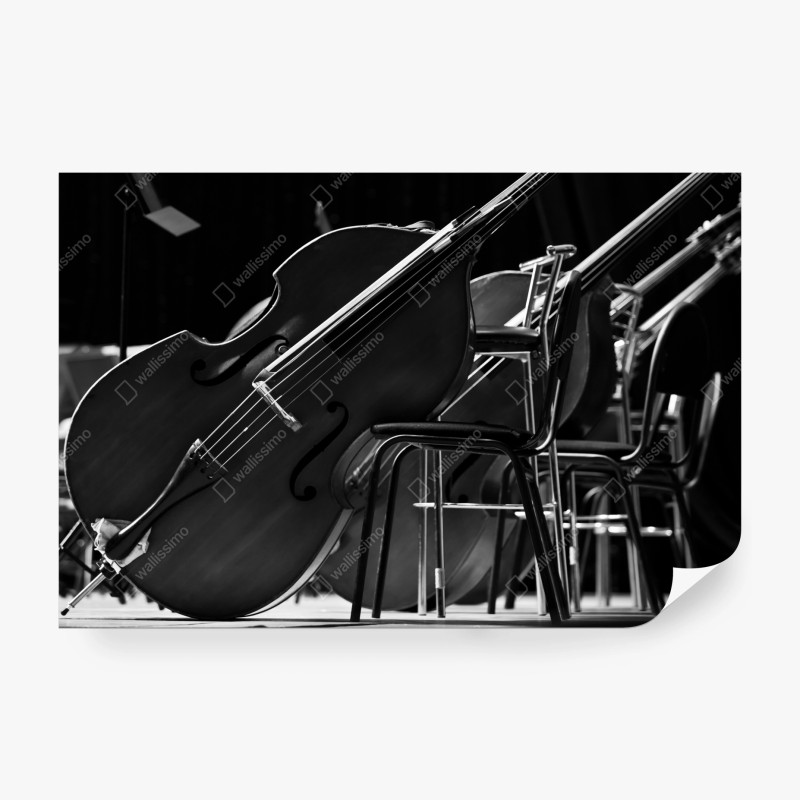 Carta da parati contrabbassi in scena: eleganza musicale in bianco e nero