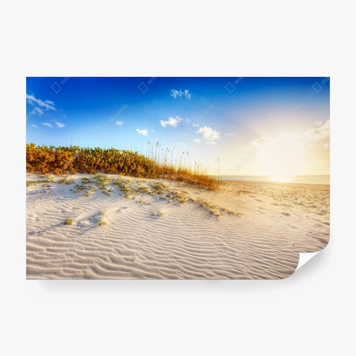 Carta da parati tramonto a Grace Bay — dune dorate • Wallissimo®
