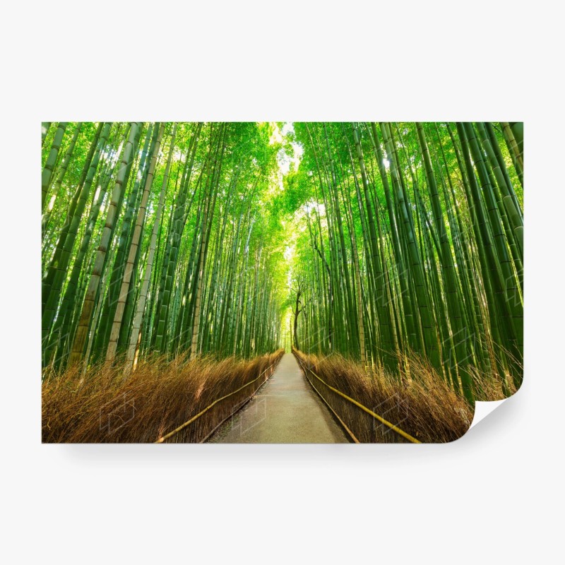 Carta da parati viale di bambù ad Arashiyama, Kyoto