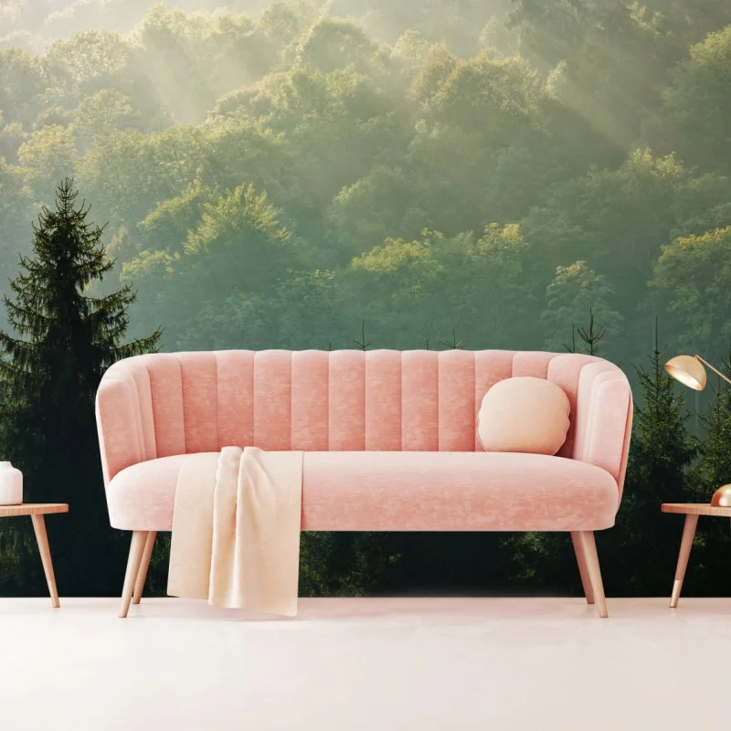 Carta da parati alba nebbiosa sui Carpazi