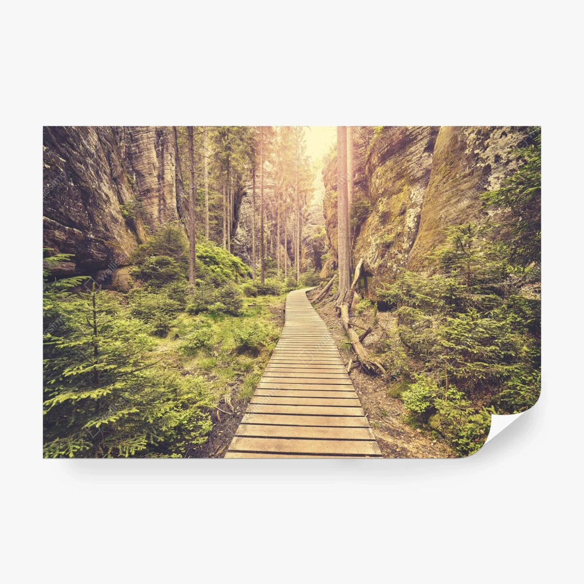 Carta da parati sentiero incantato tra le rocce di Adrspach Teplice • Wallissimo® Carta da parati sentiero incantato tra le rocce di Adrspach Teplice • Wallissimo®