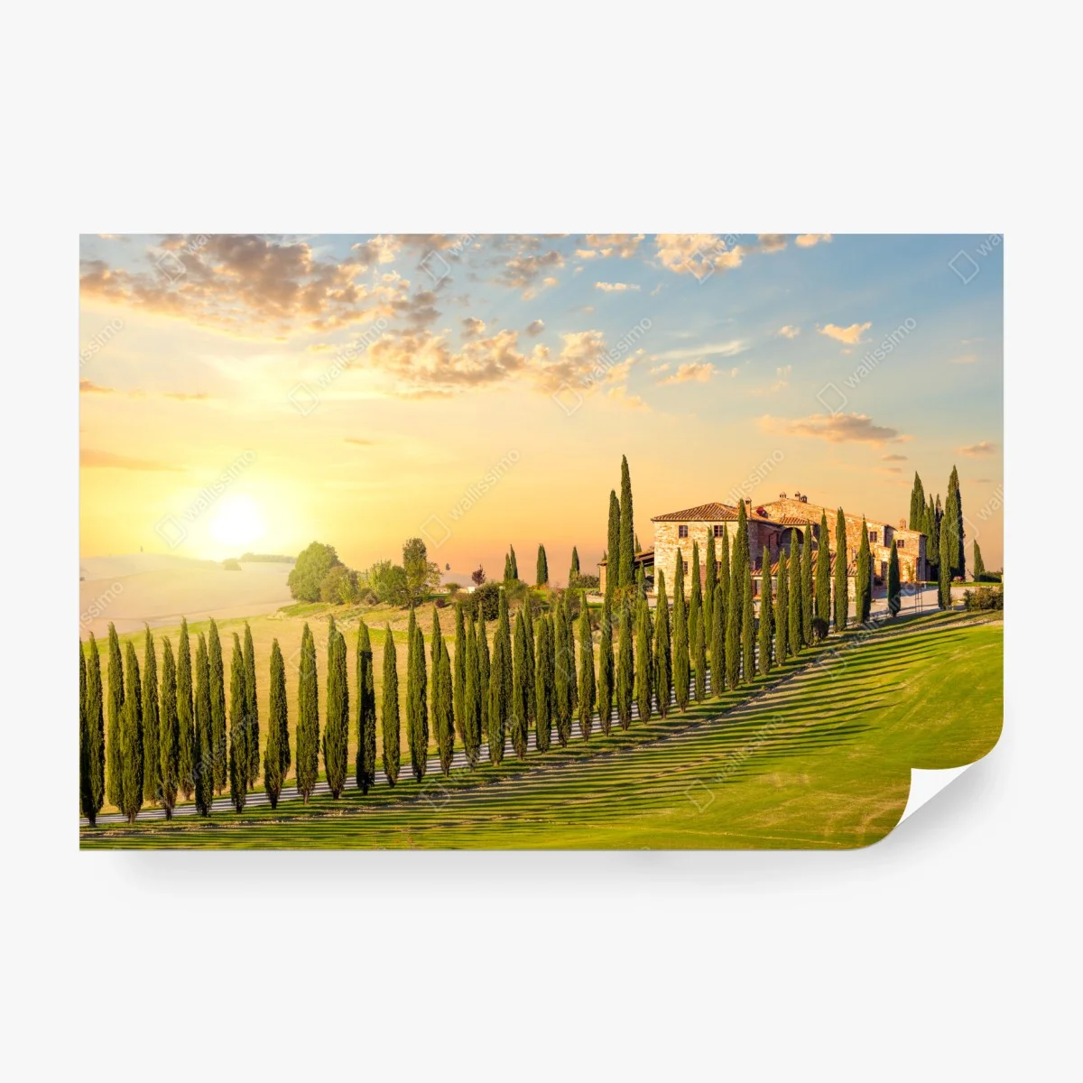 Carta da parati tramonto in Toscana: viale di cipressi e villa sulle colline • Wallissimo® Carta da parati tramonto in Toscana: viale di cipressi e villa sulle colline • Wallissimo®