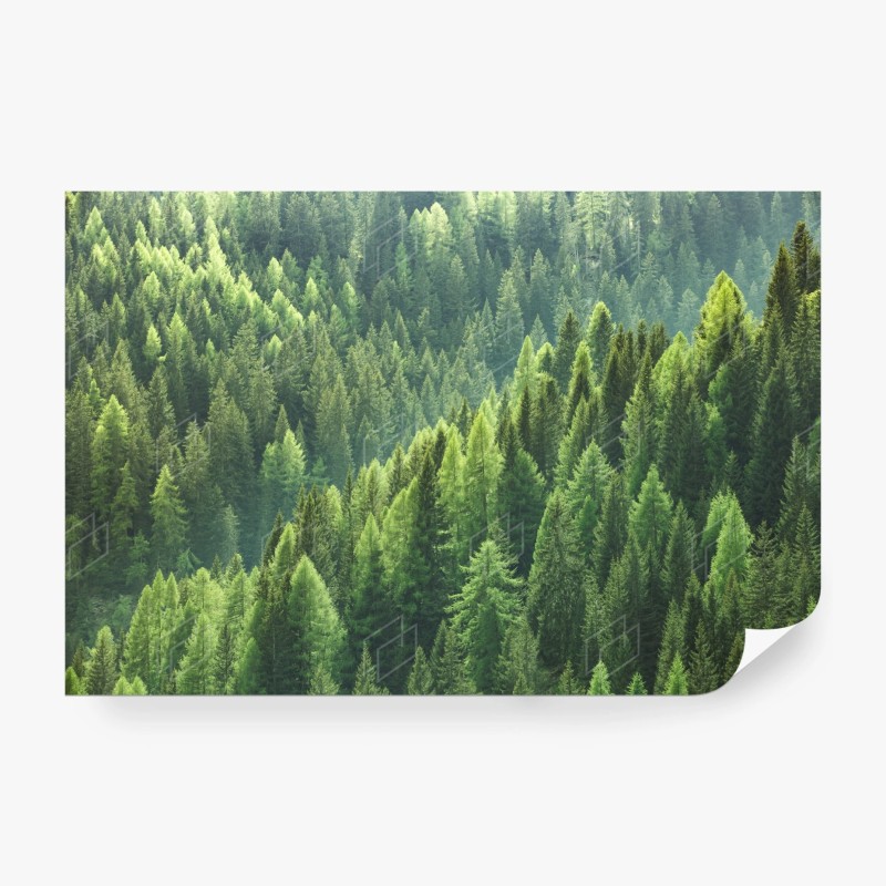 Carta da parati onda verde della foresta