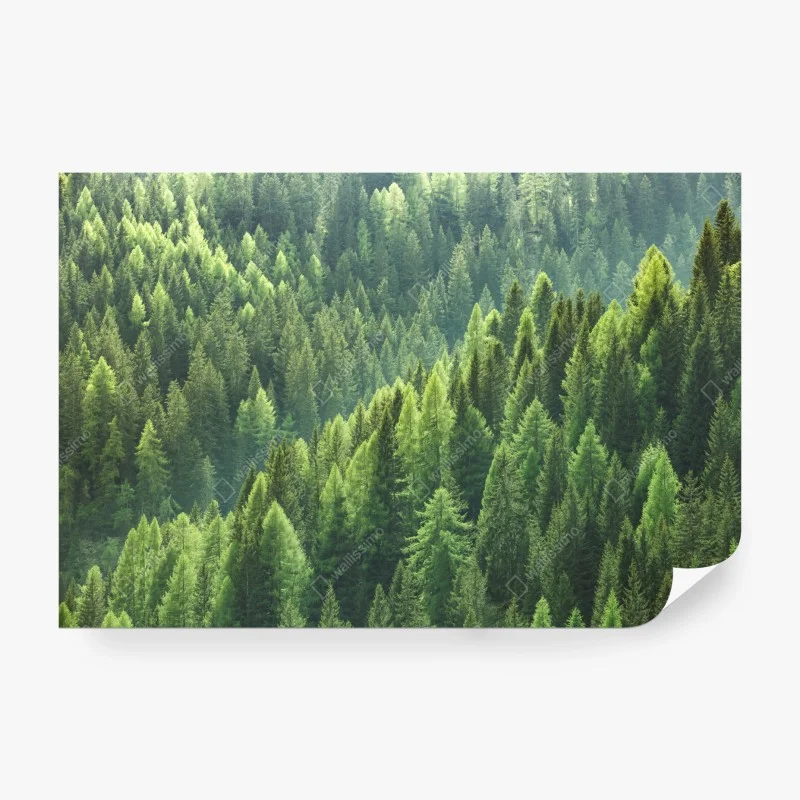 Carta da parati onda verde della foresta