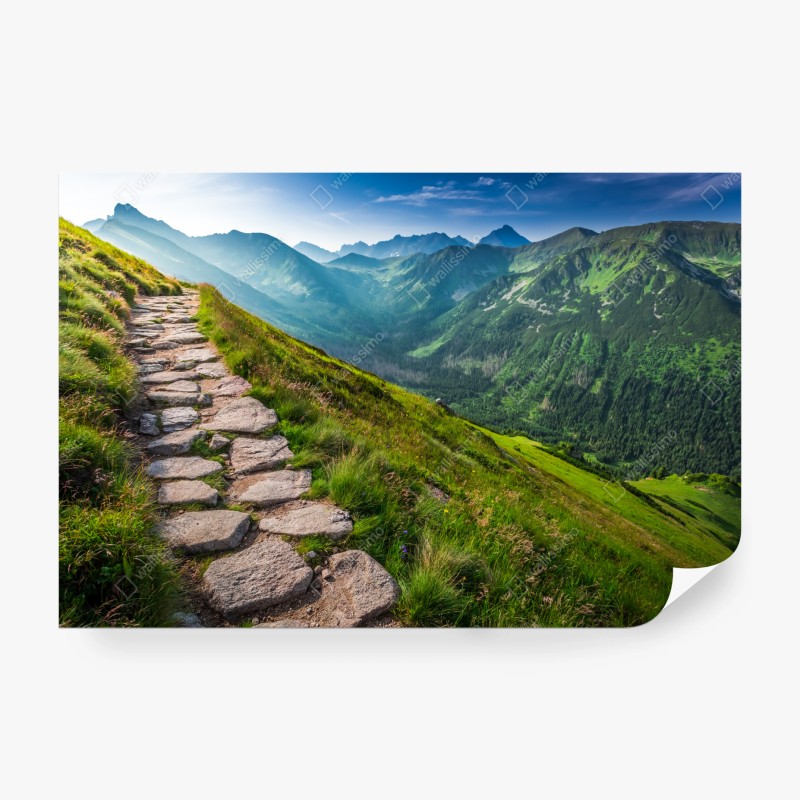 Carta da parati sentiero panoramico nei Tatra al sorgere del sole