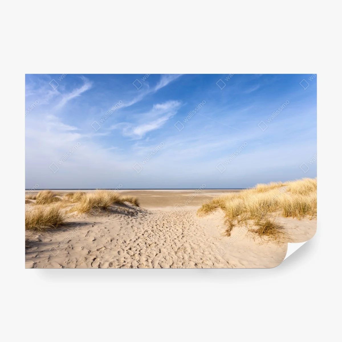 Carta da parati orizzonte di dune e sabbia • Wallissimo®
