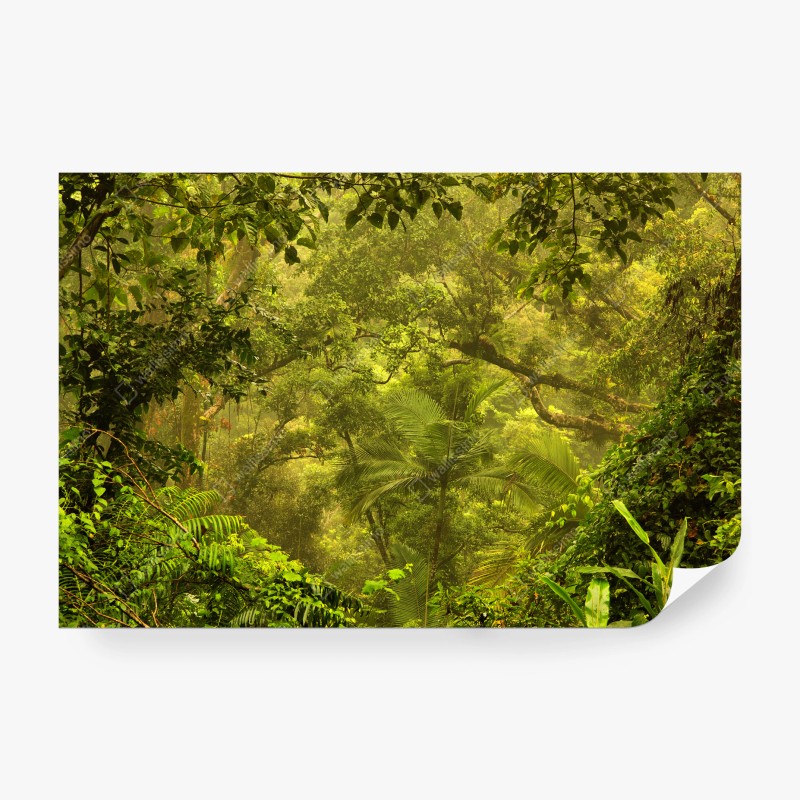 Carta da parati oasi verde di Cairns, paesaggio tropicale