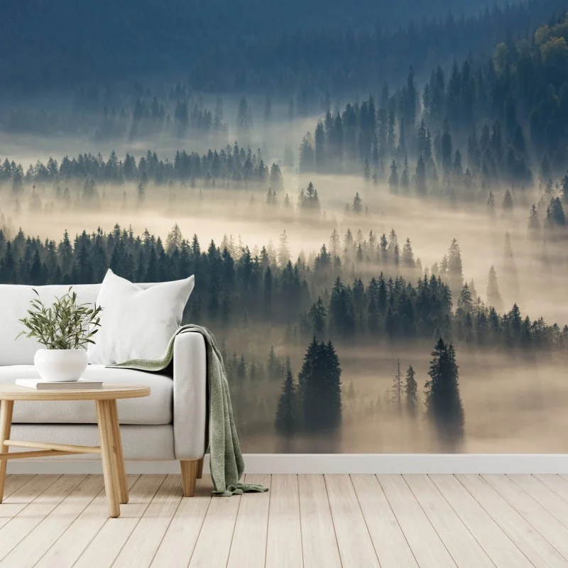 Carta da parati nebbia tra gli abeti - panorama montano