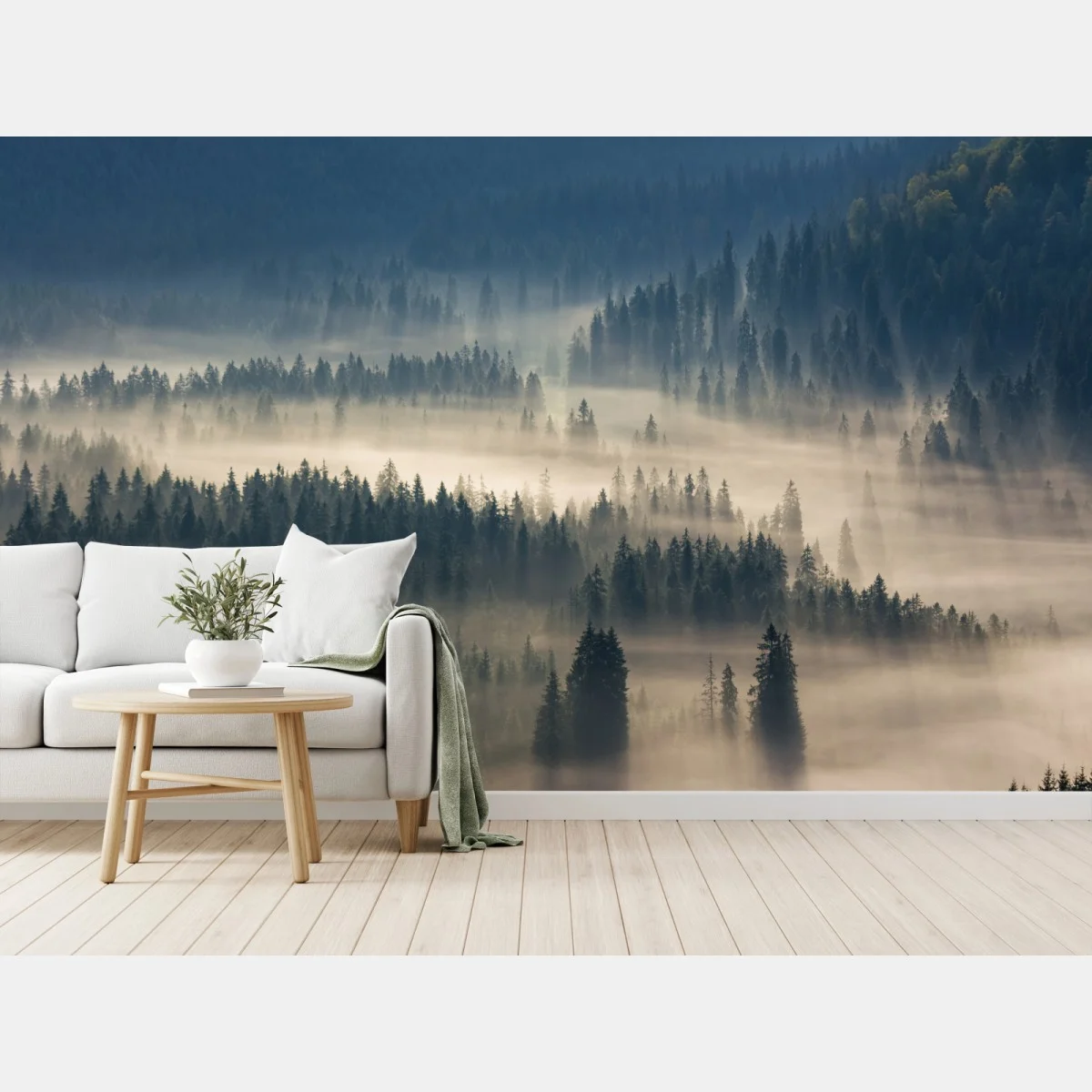 Carta da parati nebbia tra gli abeti - panorama montano • Wallissimo® Carta da parati nebbia tra gli abeti - panorama montano • Wallissimo®