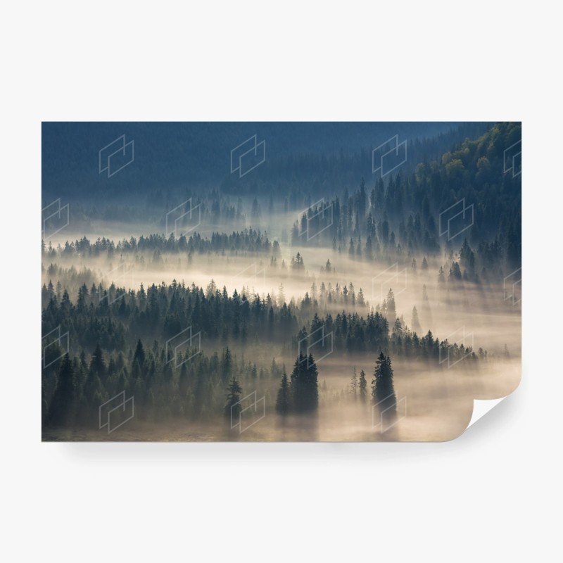 Carta da parati nebbia tra gli abeti - panorama montano
