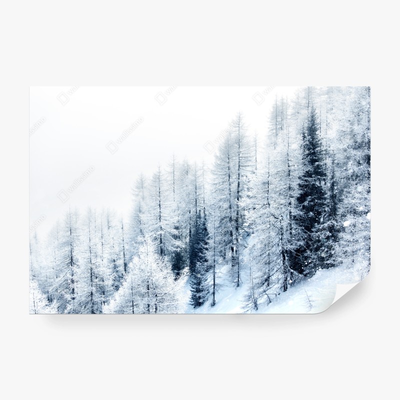 Carta da parati silenzio invernale nel bosco coperto di neve