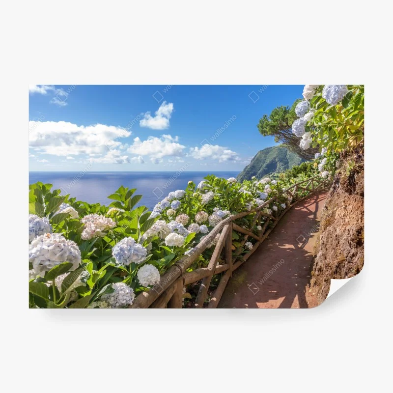Carta da parati sentiero di ortensie sul mare a São Miguel, Azzorre