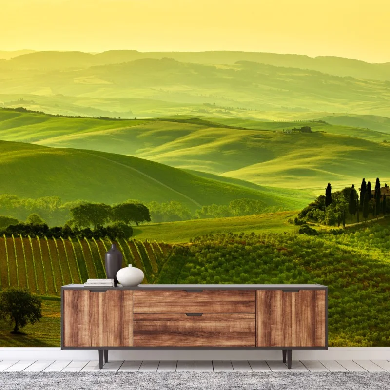 Carta da parati colline dorate della Toscana
