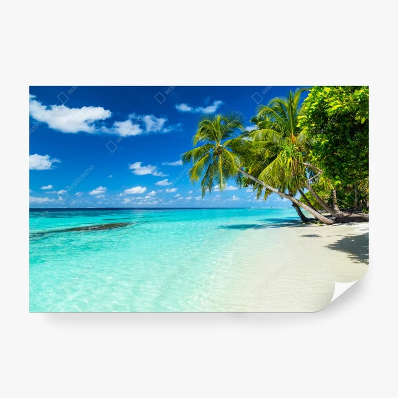 Carta da parati paradiso tropicale: spiaggia di palme e mare turchese • Wallissimo®