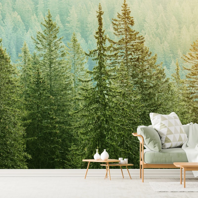 Carta da parati foresta di conifere alla luce dorata