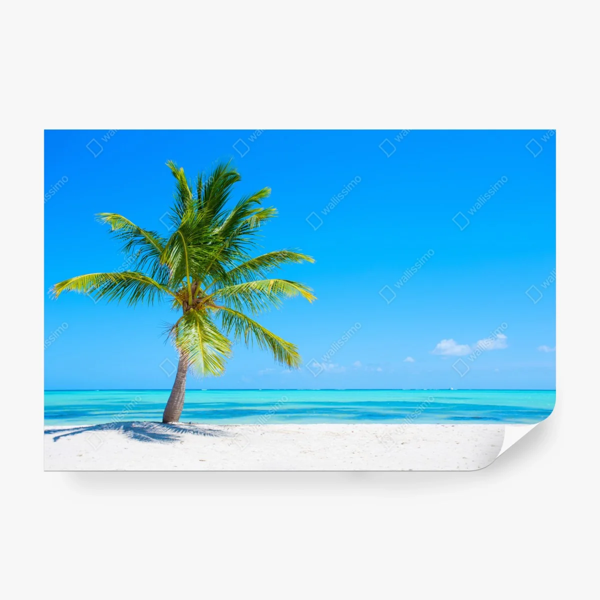 Carta da parati oasi tropicale con palma su spiaggia turchese • Wallissimo® Carta da parati oasi tropicale con palma su spiaggia turchese • Wallissimo®
