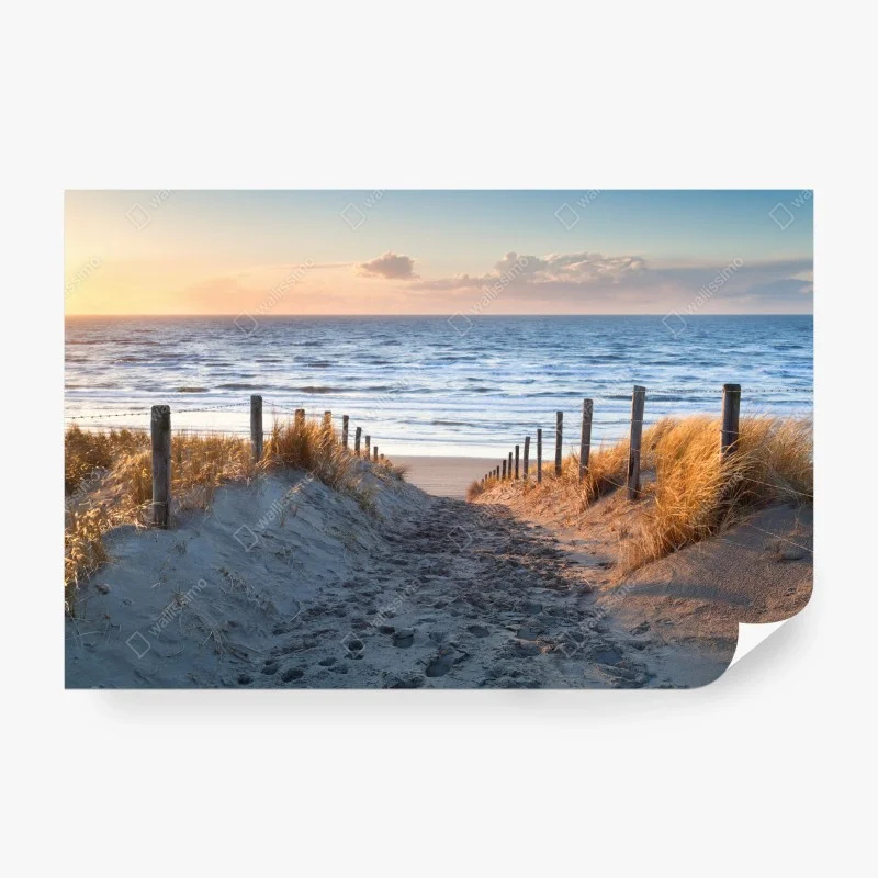 Carta da parati sentiero sabbioso verso il Mare del Nord, Paesi Bassi • Wallissimo® Carta da parati sentiero sabbioso verso il Mare del Nord, Paesi Bassi • Wallissimo®