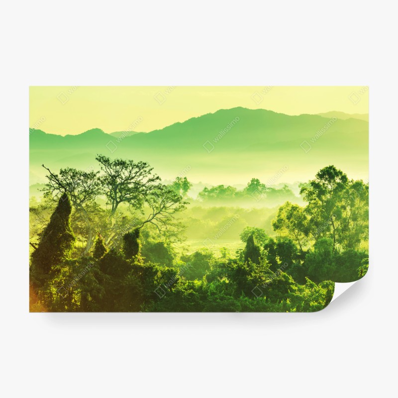 Carta da parati alba verde nella giungla del Messico