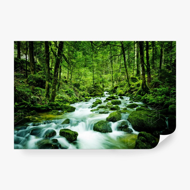 Carta da parati ruscello smeraldo nella foresta