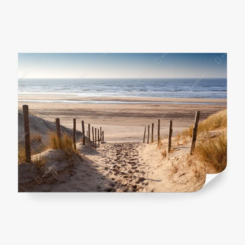 Carta da parati sentiero di sabbia verso il Mare del Nord al tramonto