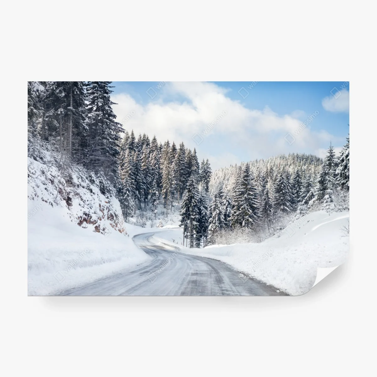 Carta da parati strada innevata tra i pini • Wallissimo®