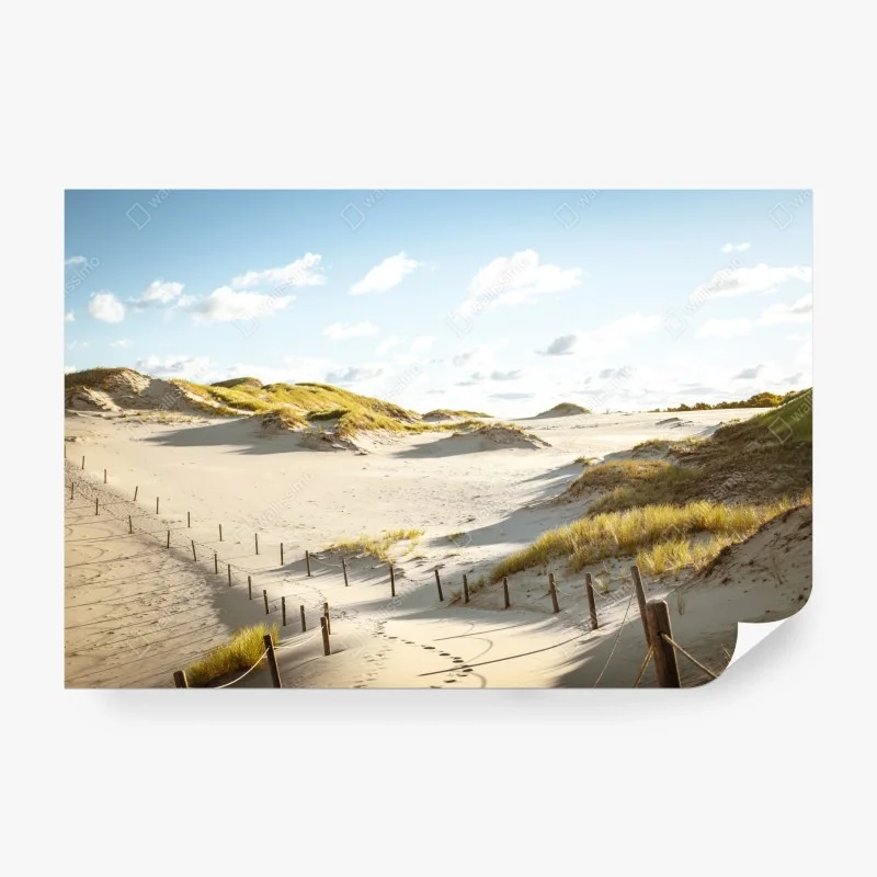 Carta da parati paesaggio delle dune di Slowinski