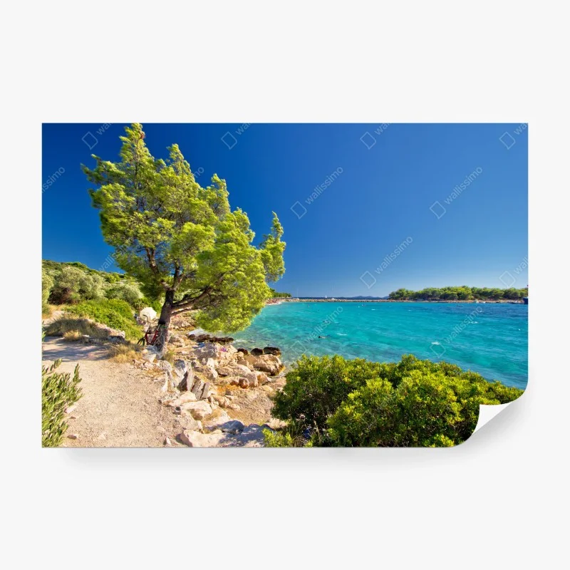 Carta da parati sogno turchese a Murter