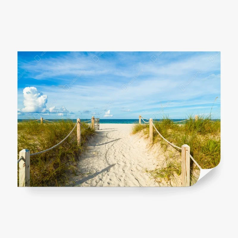 Carta da parati sentiero verso il mare a Miami