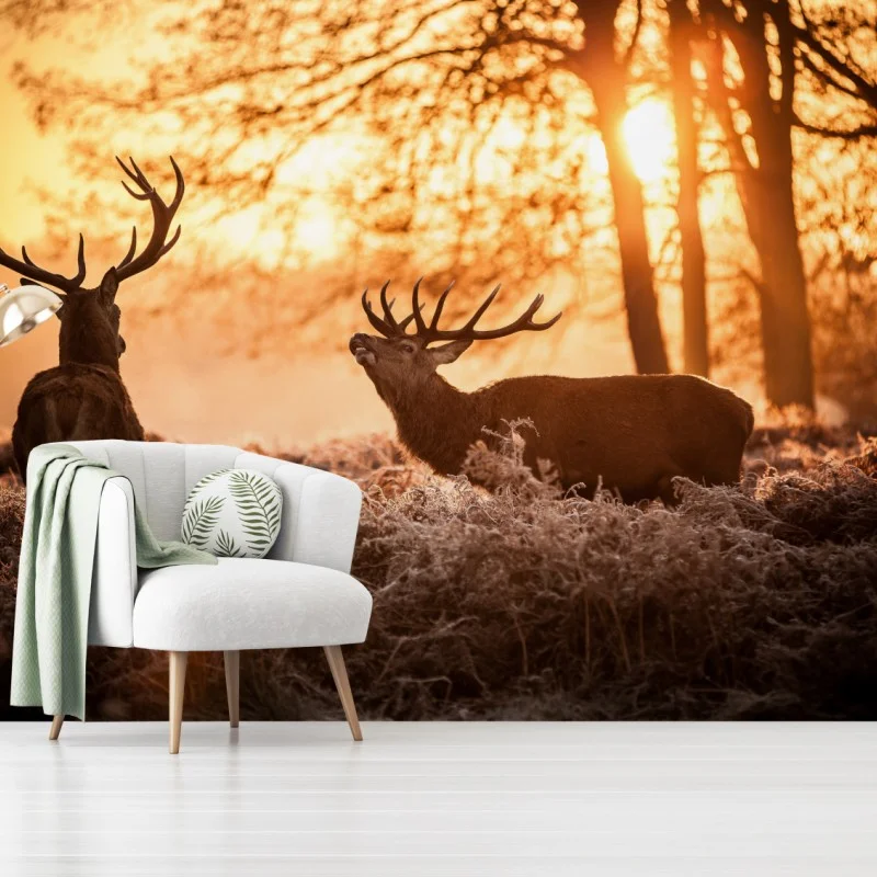 Carta da parati cervi al tramonto nel bosco