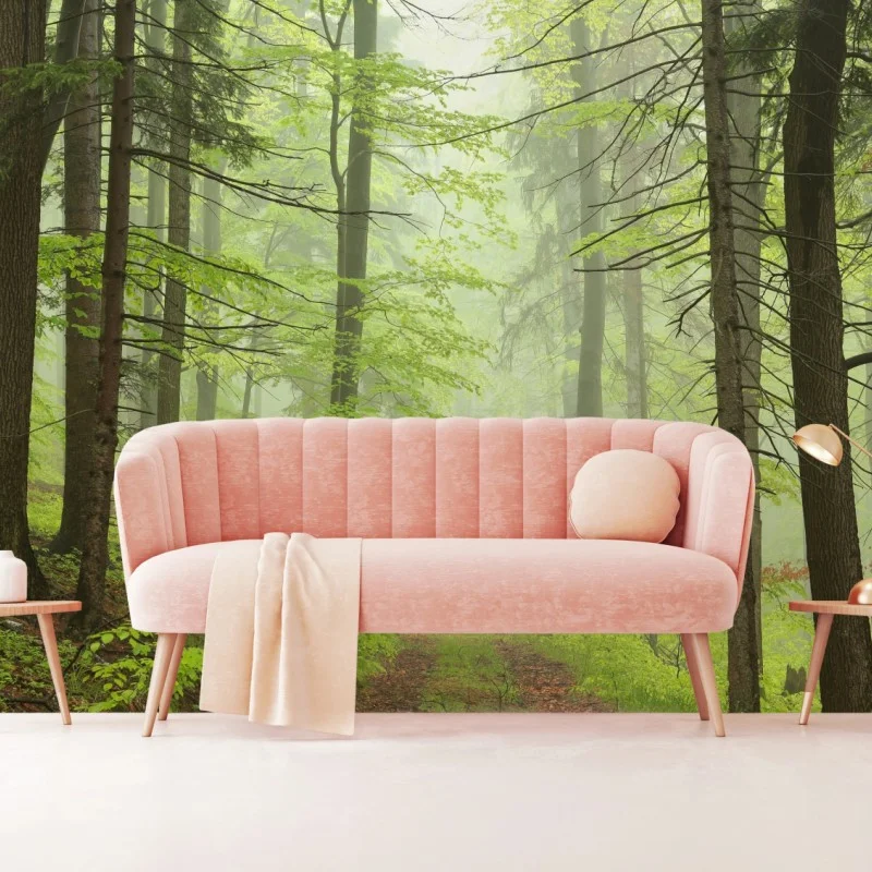 Carta da parati foresta nebbiosa: sentiero tra gli alberi