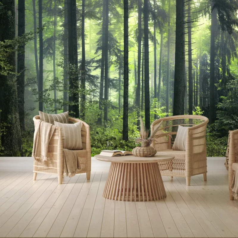 Carta da parati foresta primaverile misteriosa