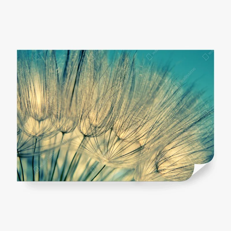 Carta da parati soffione azzurro - eleganza naturale