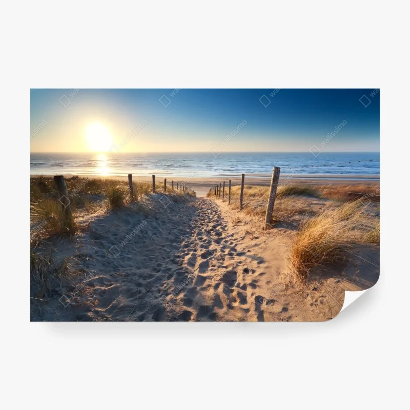 Carta da parati tramonto sulle dune di Zandvoort
