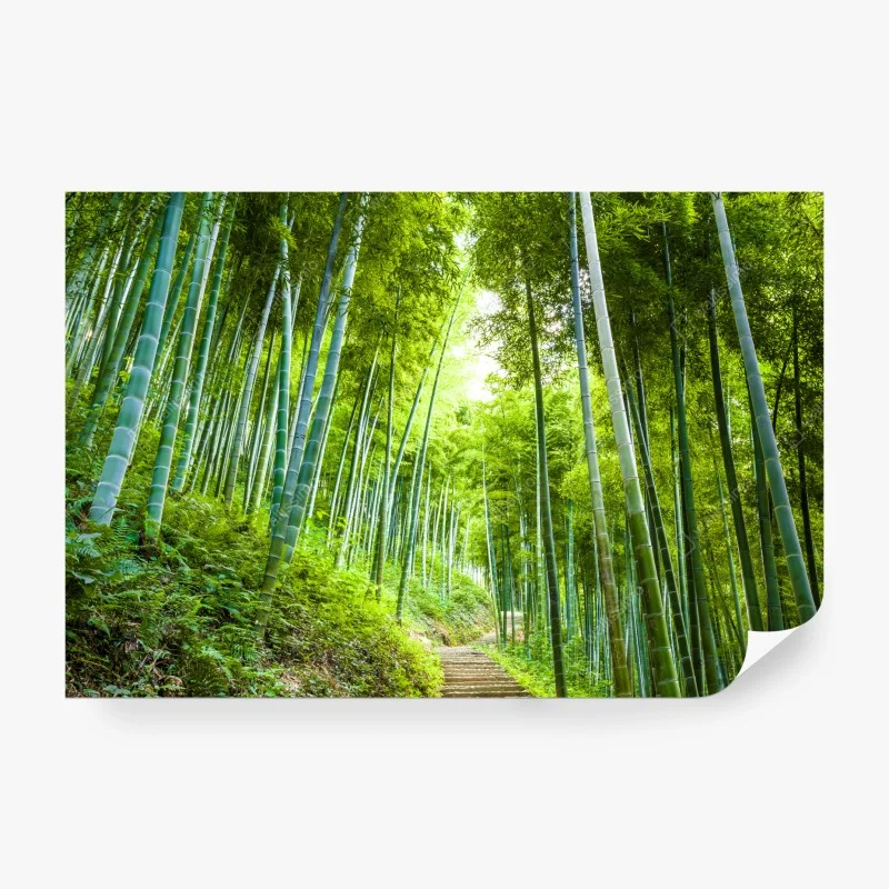 Carta da parati sentiero incantato nella foresta di bambù