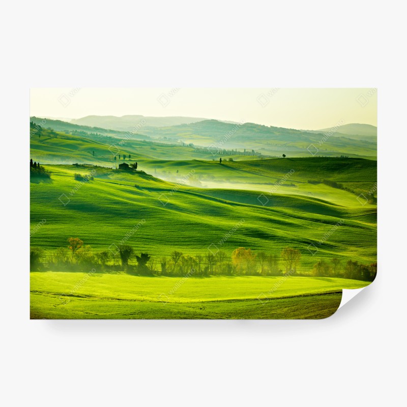 Carta da parati paesaggio ondulato a San Quirico d'Orcia, Toscana