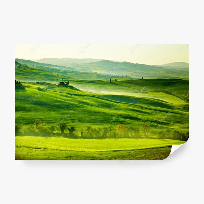 Carta da parati paesaggio ondulato a San Quirico d'Orcia, Toscana