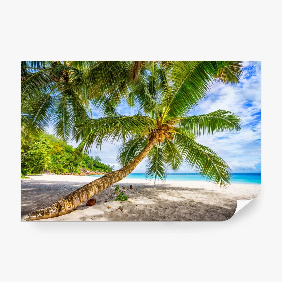 Carta da parati oasi di palme e mare turchese • Wallissimo® Carta da parati oasi di palme e mare turchese • Wallissimo®