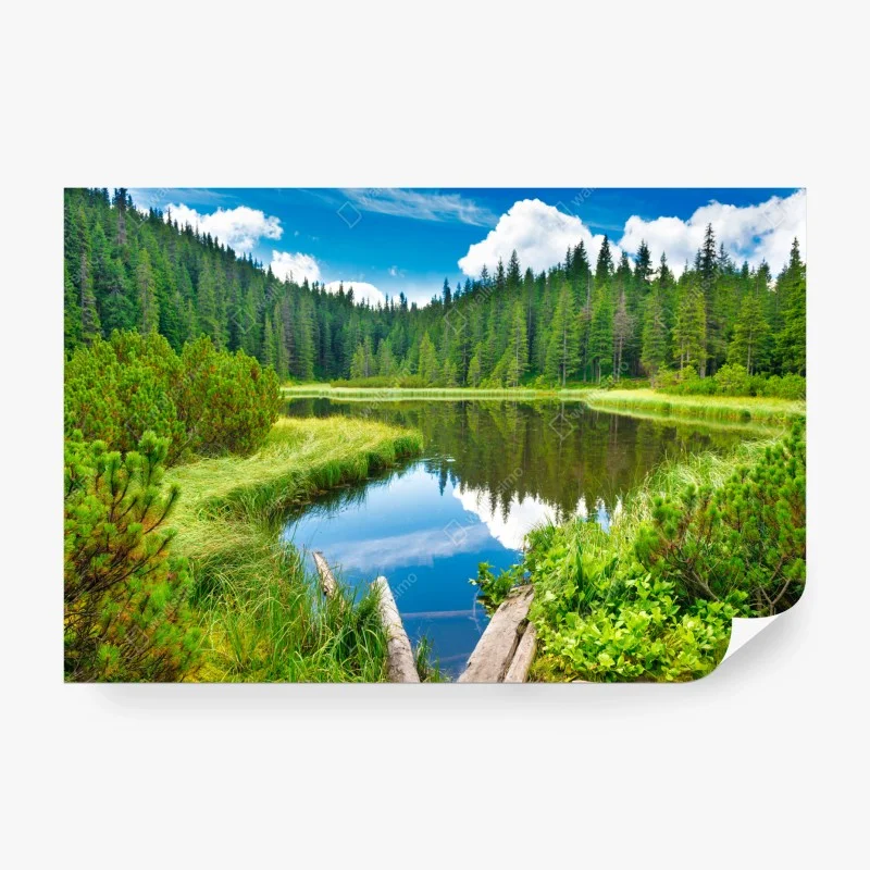 Carta da parati oasi di riflessi nel bosco • Wallissimo®