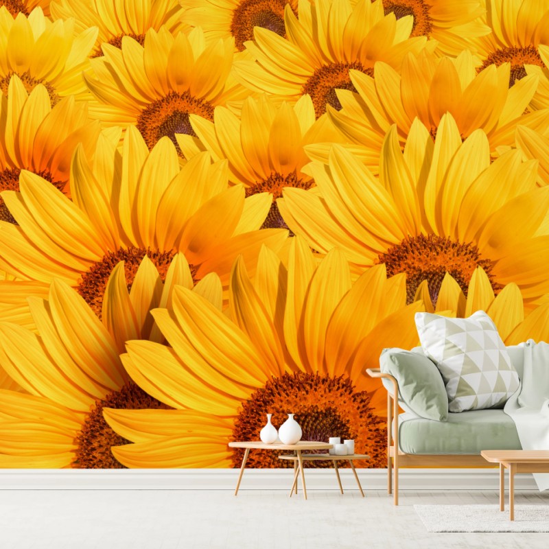 Carta da parati esplosione di girasoli dorati